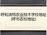 呼和浩特农业技术学校地址(呼市农校地址)