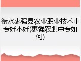 衡水枣强县农业职业技术中专好不好(枣强农职中专如何)