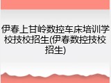 伊春上甘岭数控车床培训学校技校招生(伊春数控技校招生)
