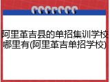 阿里革吉县的单招集训学校哪里有(阿里革吉单招学校)