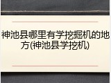神池县哪里有学挖掘机的地方(神池县学挖机)
