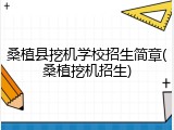 桑植县挖机学校招生简章(桑植挖机招生)