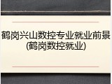 鹤岗兴山数控专业就业前景(鹤岗数控就业)