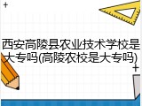 西安高陵县农业技术学校是大专吗(高陵农校是大专吗)