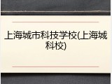 上海城市科技学校(上海城科校)