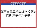 陇南文县单招集训学校怎么收费(文县单招学费)