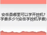 安岳县哪里可以学开挖机?学费多少?(安岳学挖机学费)