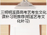 三明明溪县高考艺考生文化课补习班推荐(明溪艺考文化补习)