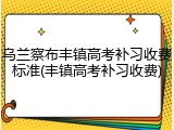 乌兰察布丰镇高考补习收费标准(丰镇高考补习收费)