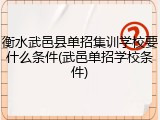 衡水武邑县单招集训学校要什么条件(武邑单招学校条件)