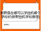 新野县在哪可以学挖机哪个学校好(新野挖机学校推荐)