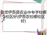 哈密伊吾县农业中专学校哪个校区好(伊吾农校哪校区好)