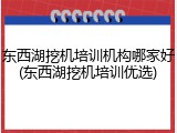 东西湖挖机培训机构哪家好(东西湖挖机培训优选)