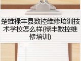 楚雄禄丰县数控维修培训技术学校怎么样(禄丰数控维修培训)