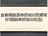 宜春铜鼓县单招培训班哪家好(铜鼓单招培训优选)