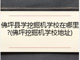 佛坪县学挖掘机学校在哪里?(佛坪挖掘机学校地址)