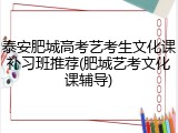 泰安肥城高考艺考生文化课补习班推荐(肥城艺考文化课辅导)
