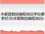 丰都县数控编程培训学校哪家好点(丰都数控编程培训)
