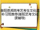 衡阳蒸湘高考艺考生文化课补习班推荐(衡阳艺考文化课辅导)