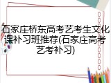 石家庄桥东高考艺考生文化课补习班推荐(石家庄高考艺考补习)
