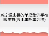 咸宁通山县的单招集训学校哪里有(通山单招集训校)