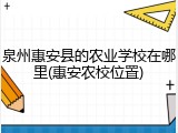 泉州惠安县的农业学校在哪里(惠安农校位置)