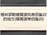 锡林郭勒镶黄旗找单招集训的地方(镶黄旗单招集训)