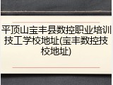 平顶山宝丰县数控职业培训技工学校地址(宝丰数控技校地址)