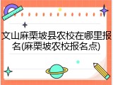 文山麻栗坡县农校在哪里报名(麻栗坡农校报名点)