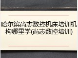 哈尔滨尚志数控机床培训机构哪里学(尚志数控培训)