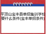 平顶山宝丰县单招集训学校要什么条件(宝丰单招条件)