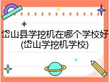 岱山县学挖机在哪个学校好(岱山学挖机学校)