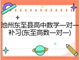池州东至县高中数学一对一补习(东至高数一对一)