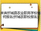 来宾忻城县农业职高学校如何报名(忻城农职校报名)