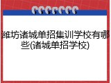 潍坊诸城单招集训学校有哪些(诸城单招学校)