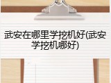 武安在哪里学挖机好(武安学挖机哪好)