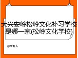 大兴安岭松岭文化补习学校是哪一家(松岭文化学校)