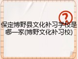 保定博野县文化补习学校是哪一家(博野文化补习校)
