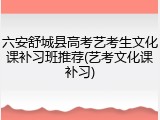 六安舒城县高考艺考生文化课补习班推荐(艺考文化课补习)
