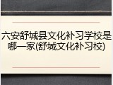 六安舒城县文化补习学校是哪一家(舒城文化补习校)