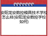 安阳龙安数控模具技术学校怎么样(安阳龙安数控学校如何)