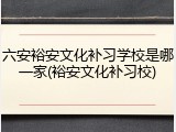 六安裕安文化补习学校是哪一家(裕安文化补习校)