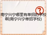 南宁兴宁哪里有单招的学校啊(南宁兴宁单招学校)