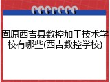固原西吉县数控加工技术学校有哪些(西吉数控学校)