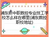浦东新中职数控专业技工学校怎么样在哪里(浦东数控职校地址)