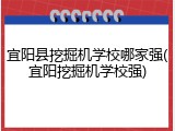 宜阳县挖掘机学校哪家强(宜阳挖掘机学校强)