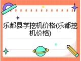 乐都县学挖机价格(乐都挖机价格)