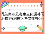 河东高考艺考生文化课补习班推荐(河东艺考文化补习)