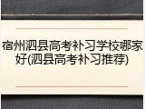 宿州泗县高考补习学校哪家好(泗县高考补习推荐)