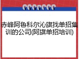 赤峰阿鲁科尔沁旗找单招集训的公司(阿旗单招培训)
